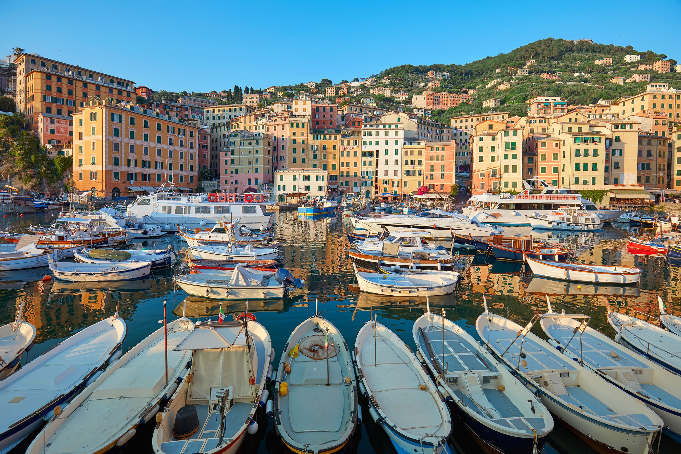 Camogli typical village with colorful houses and small harbor in Italy, Liguria in a sunny day