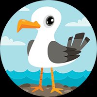 Seagull